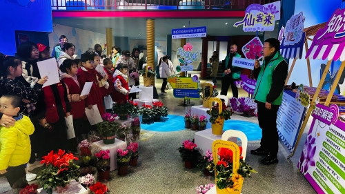 微信图片_20260310083411_16_5